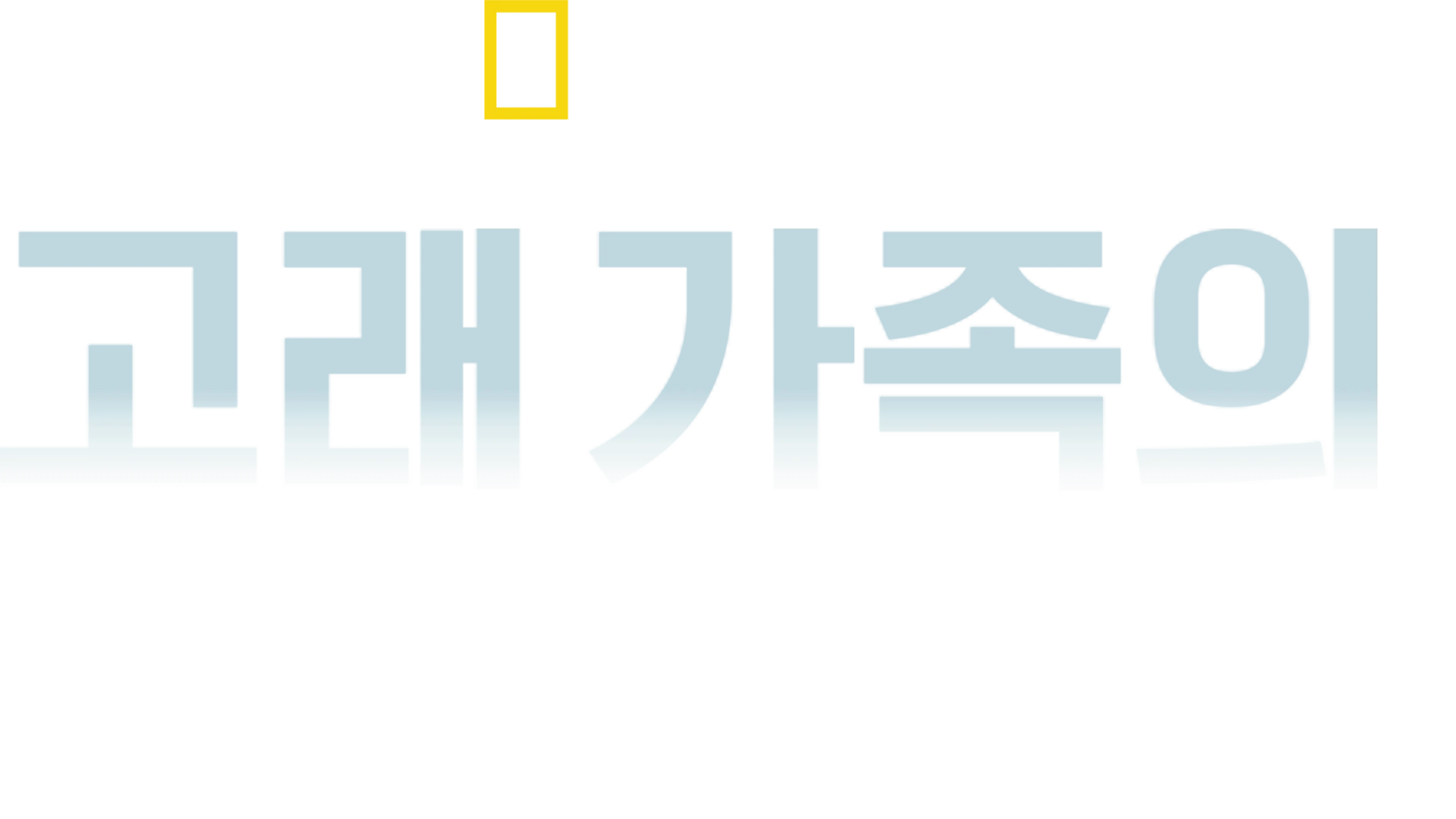 고래 가족의 성장기
