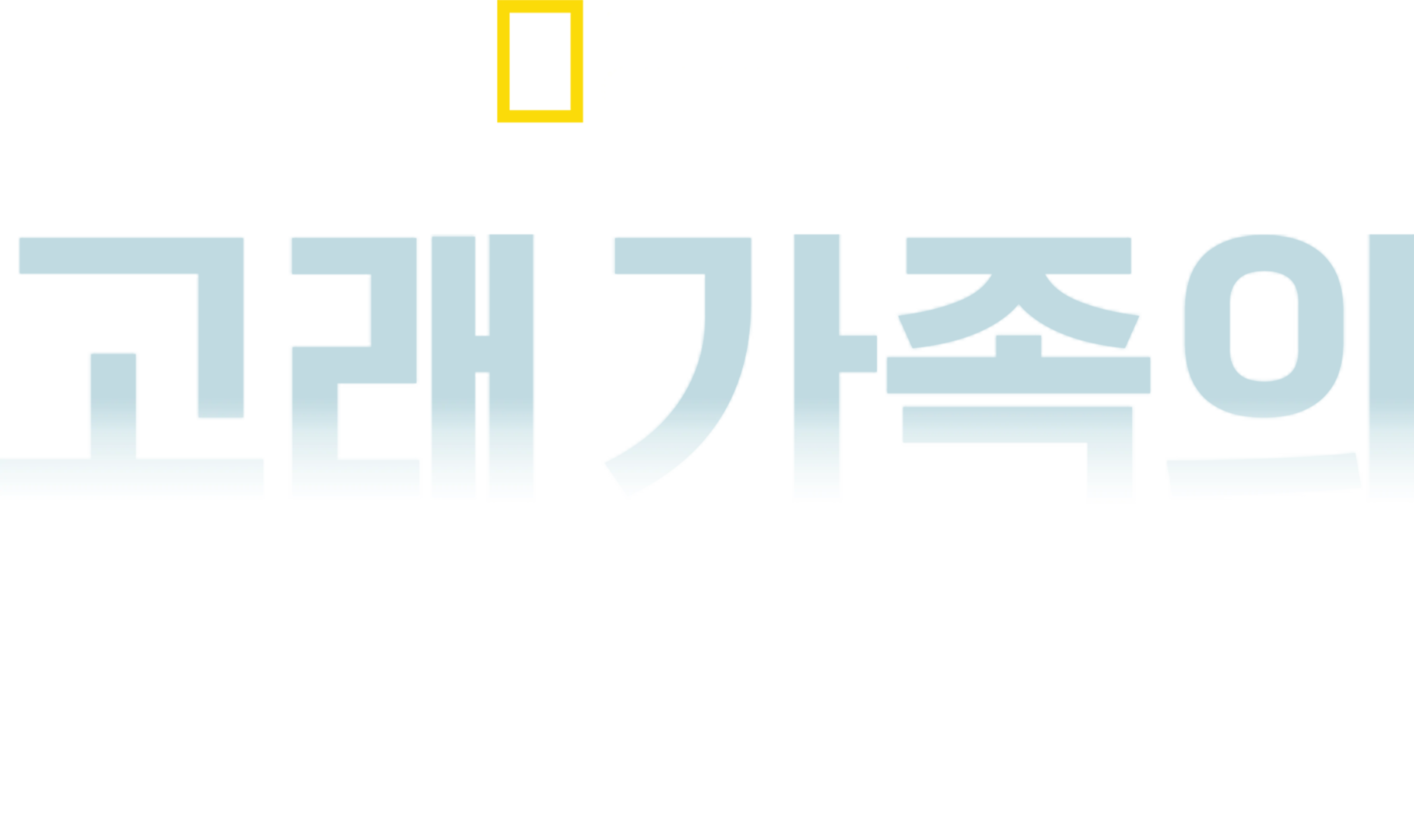 고래 가족의 성장기