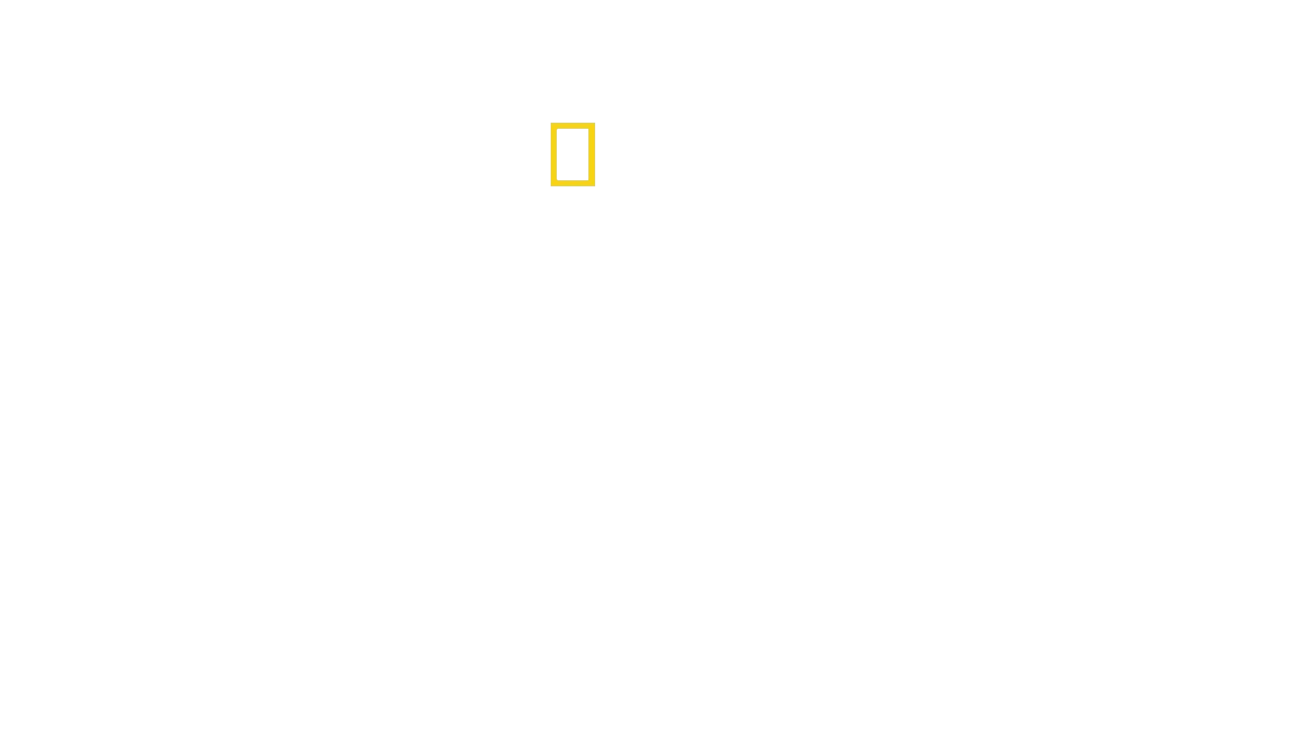 Oiseaux de paradis: Séduction sauvage