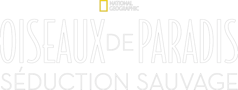Oiseaux de paradis: Séduction sauvage