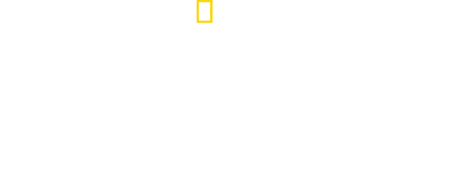 Oiseaux de paradis: Séduction sauvage