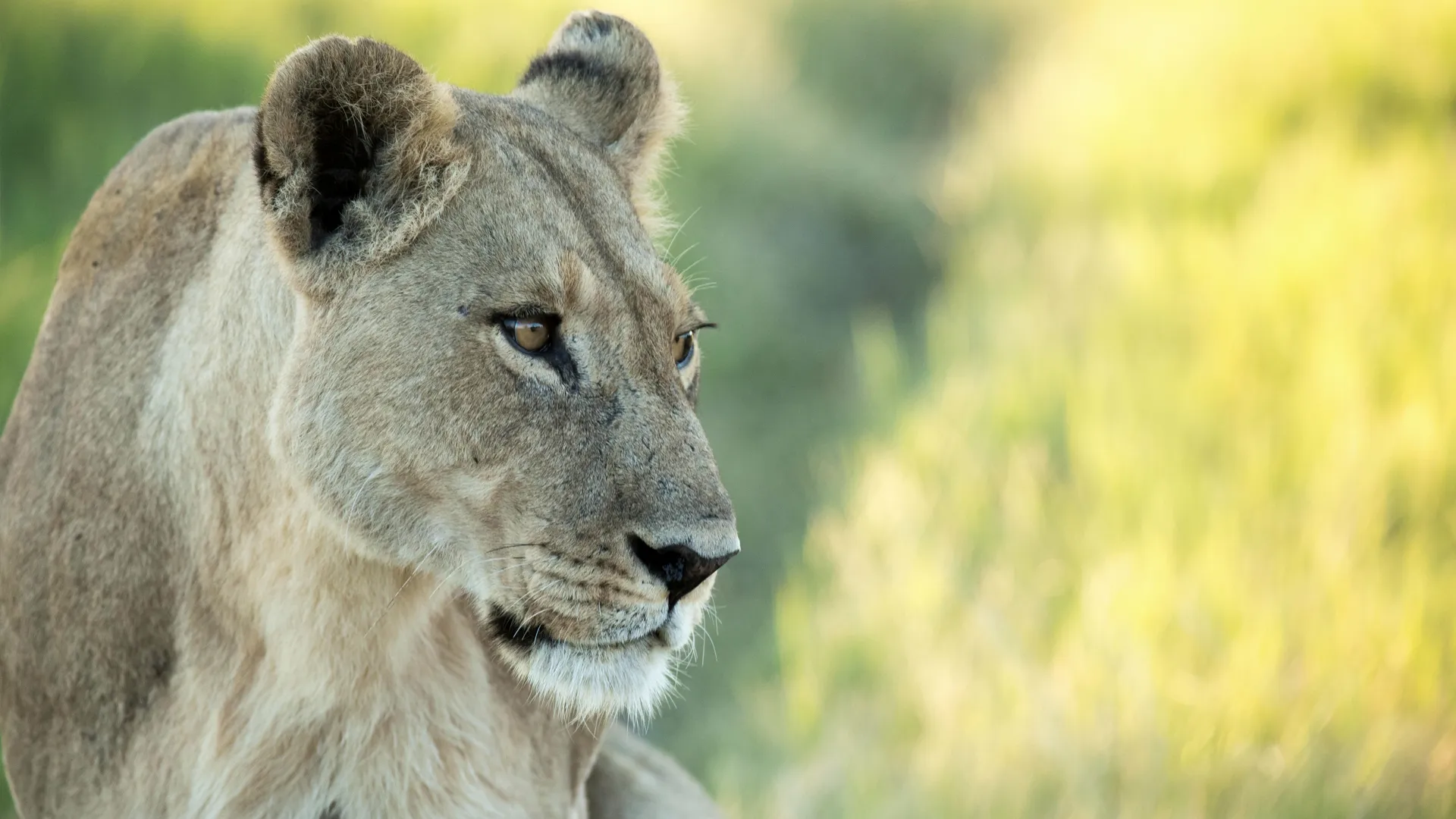 thumbnail - S4:E2 The Rebellion