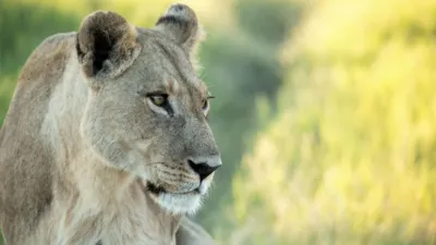 thumbnail - S4:E2 The Rebellion