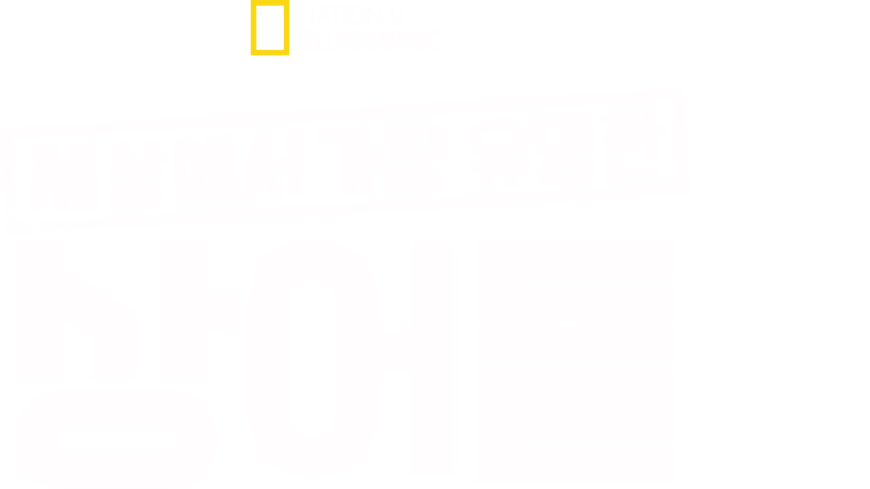 세상에서 가장 유명한 상어들