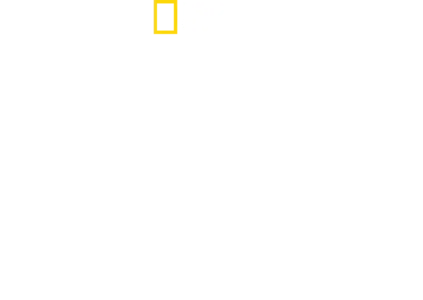 세상에서 가장 유명한 상어들