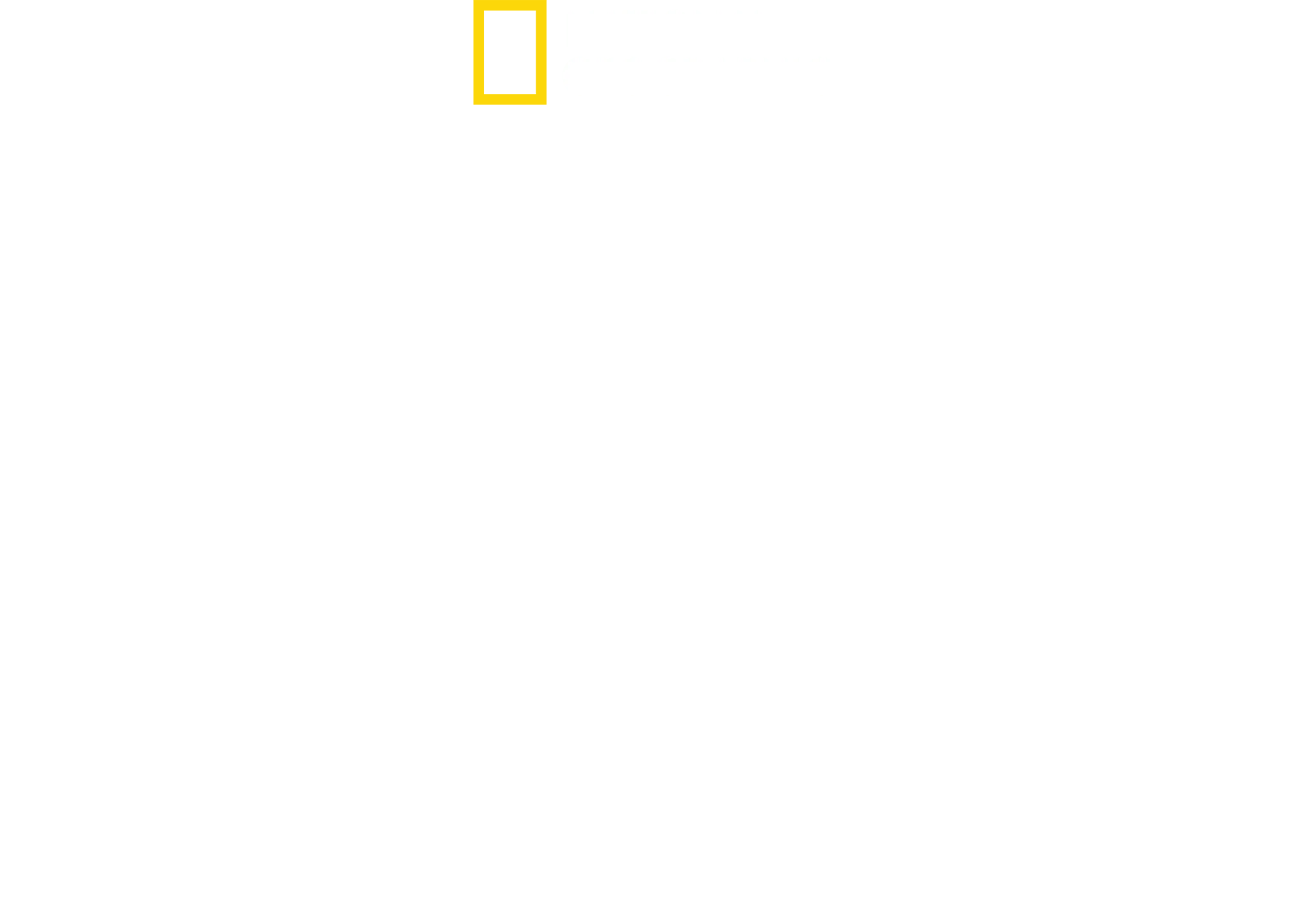 세상에서 가장 유명한 상어들