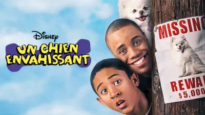 thumbnail - Un chien envahissant