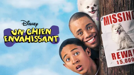 thumbnail - Un chien envahissant