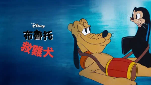 thumbnail - 救難犬