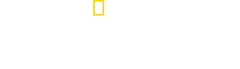 Sešívaný americký sen