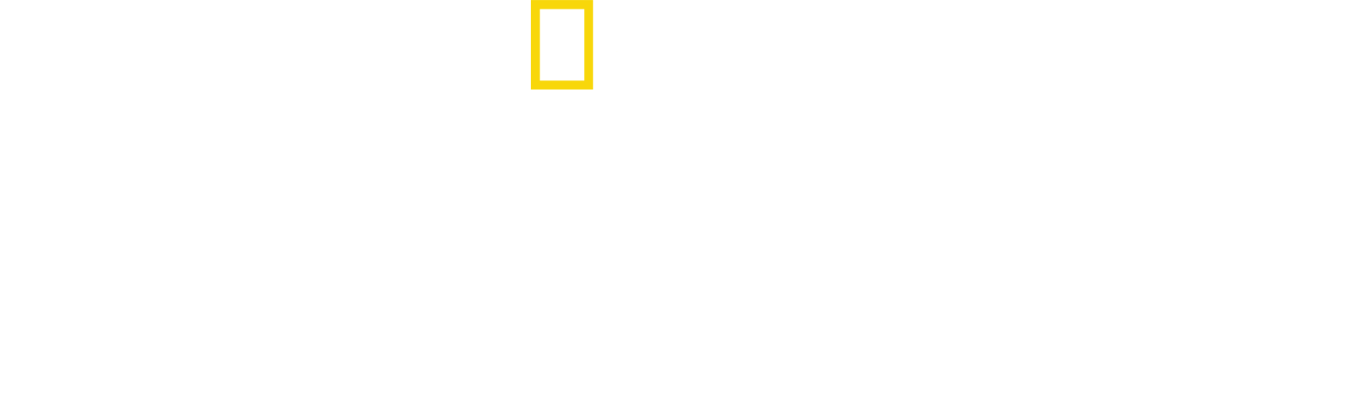 Sešívaný americký sen