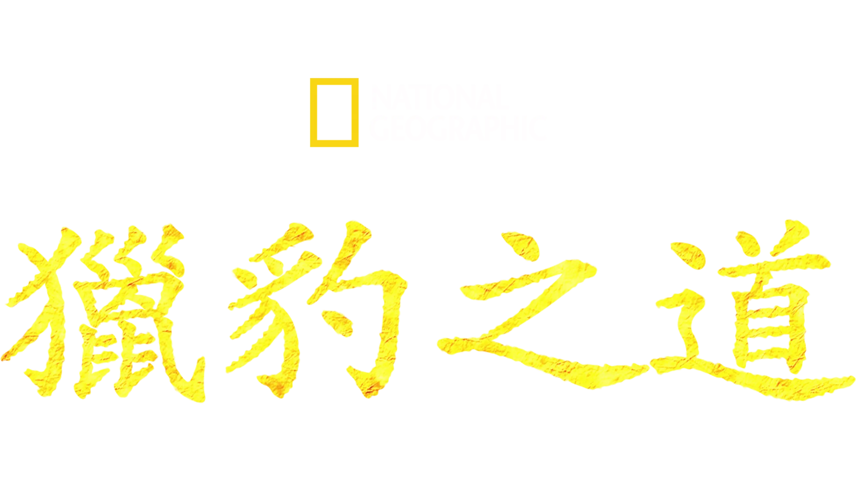獵豹之道