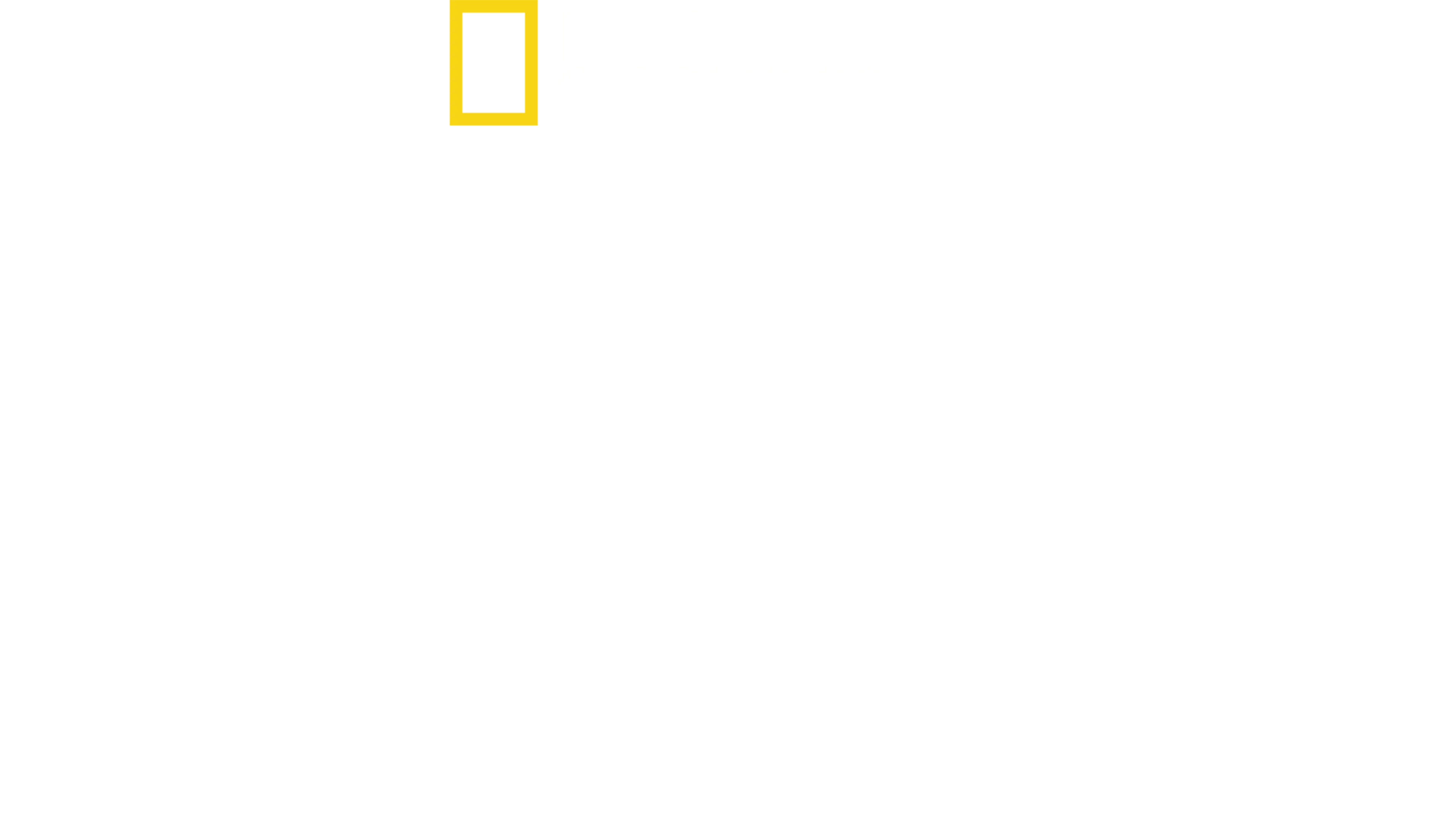 Στα Άδυτα των Ες-Ες