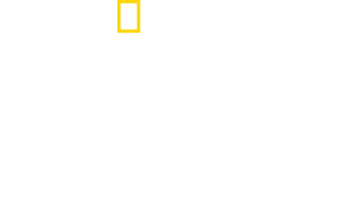 Στα Άδυτα των Ες-Ες