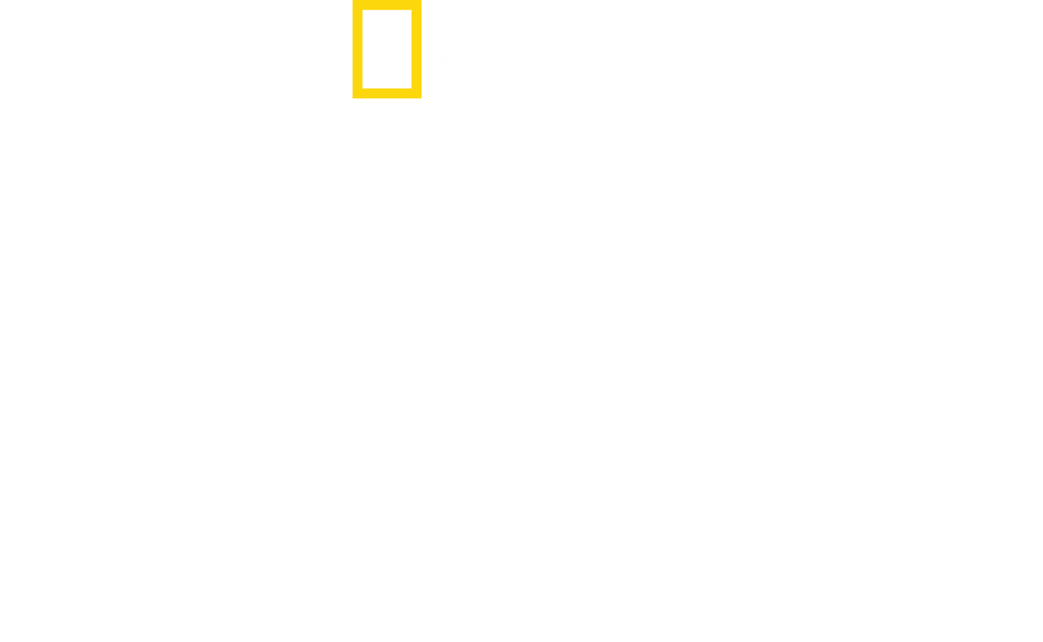 Στα Άδυτα των Ες-Ες