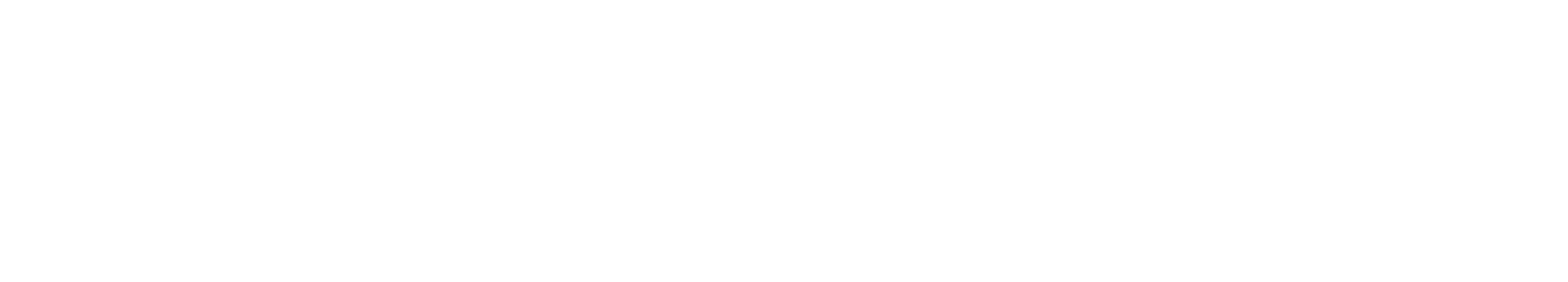 Le candidat
