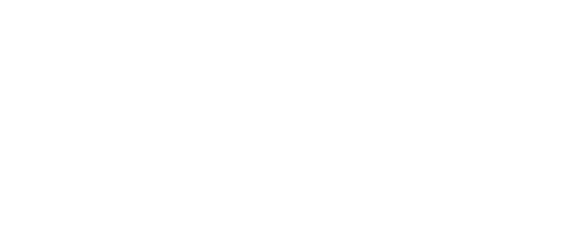 Indian Palace : Suite royale