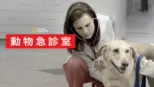 thumbnail - 動物急診室