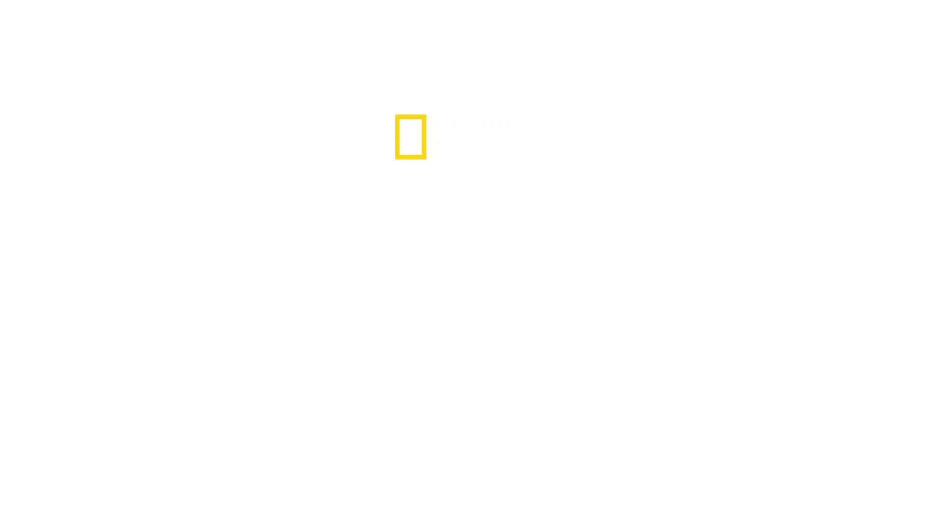Hai vs. Killerwal