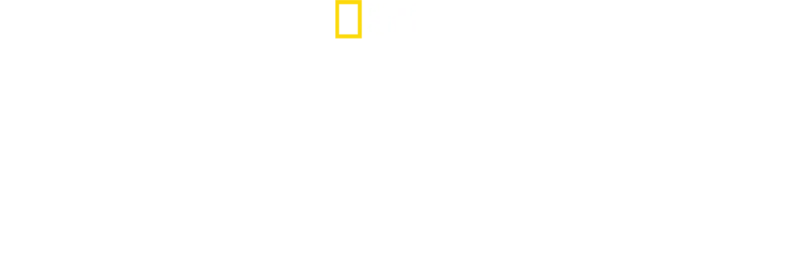 Hai vs. Killerwal