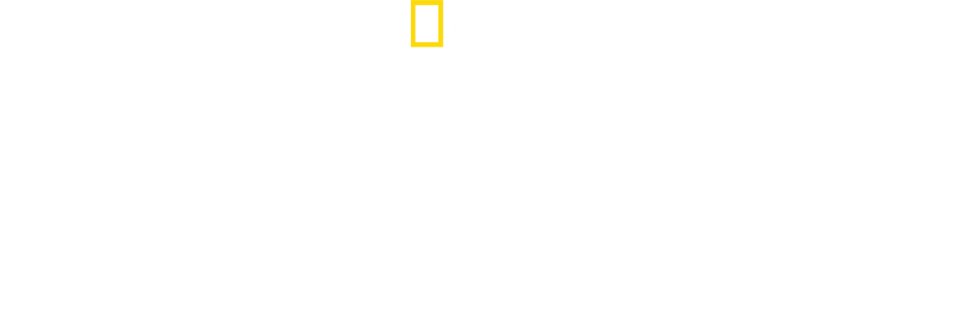 Hai vs. Killerwal