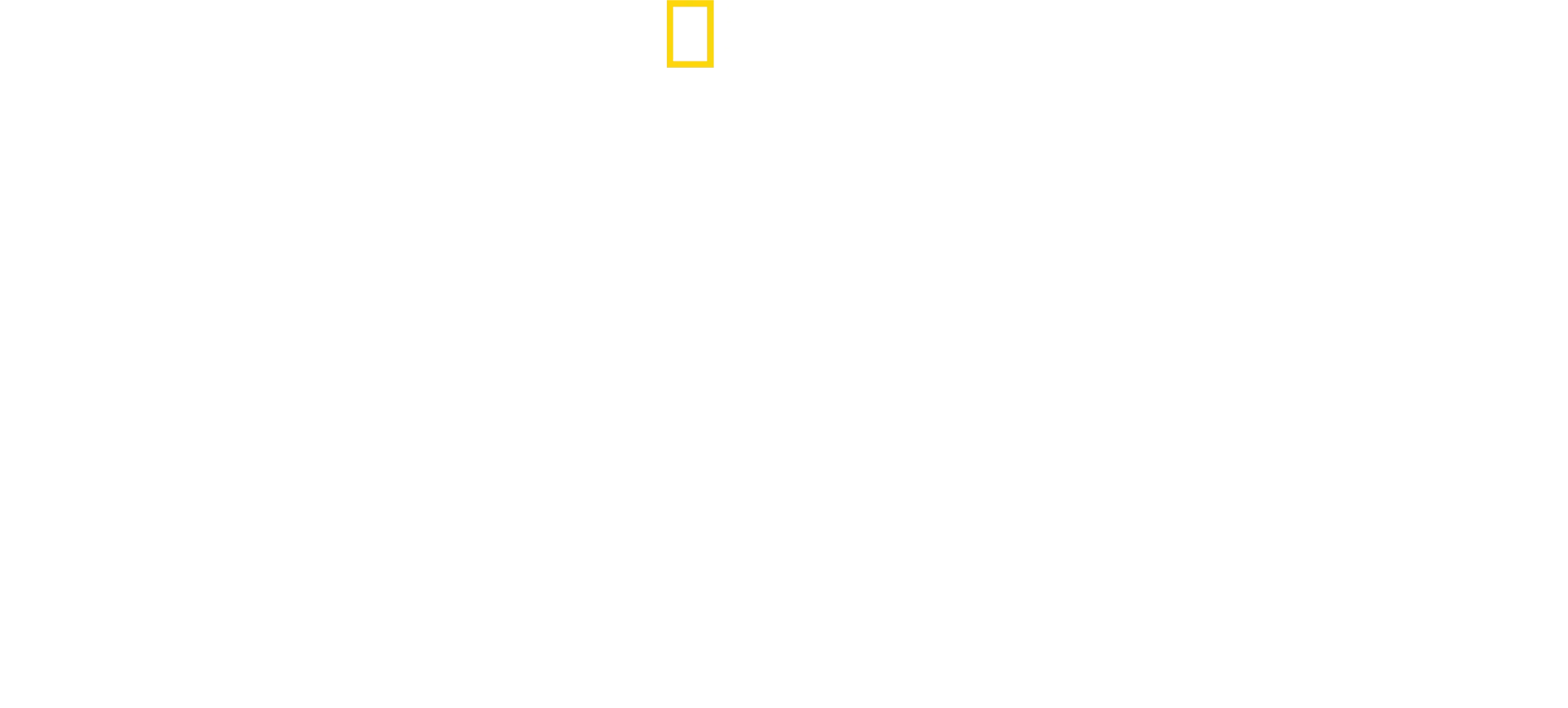 Au plus près des requins avec Bertie Gregory