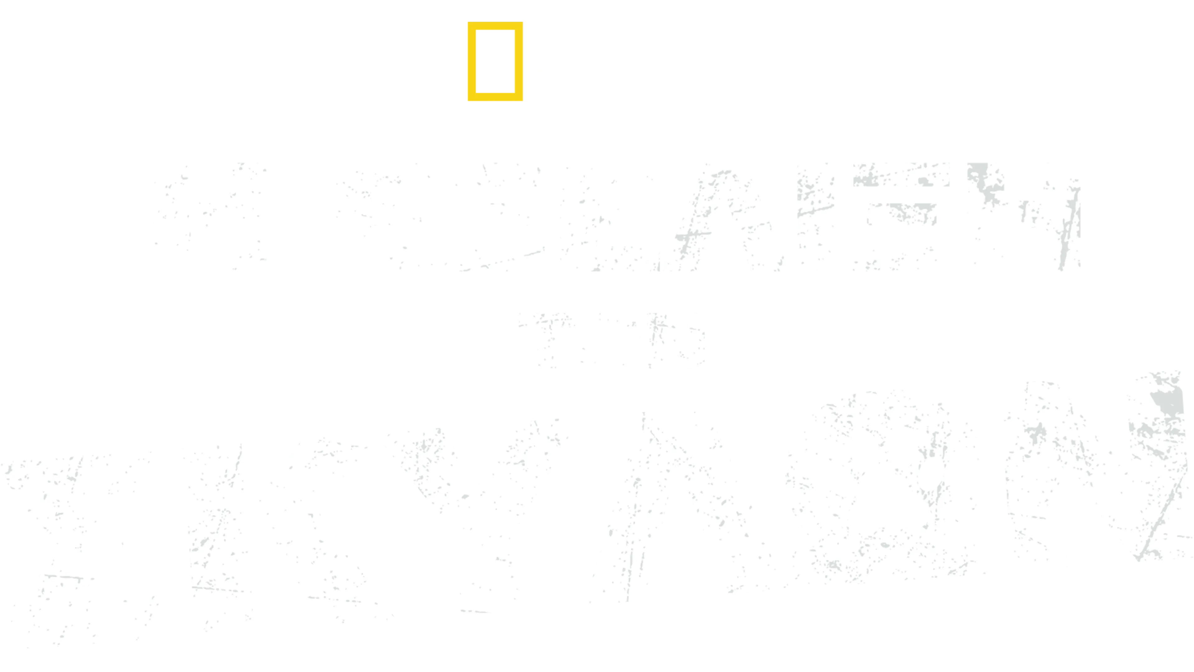 Η Εξέλιξη των Σκύλων