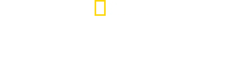Μαρτυρίες από Καταστροφές