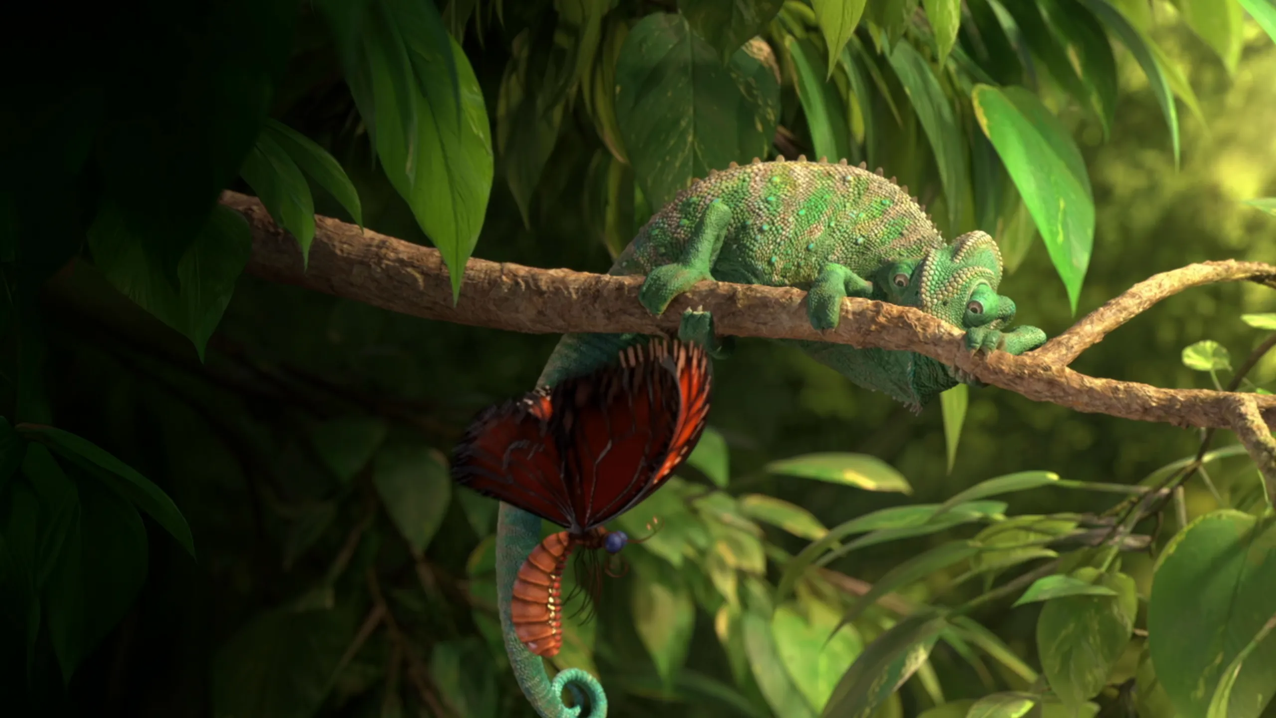 Our Wonderful Nature: The Common Chameleon