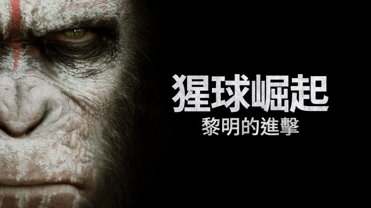 2024这10部超燃电影看过3部的算我输！-夜雨聆风, image size:1200x674