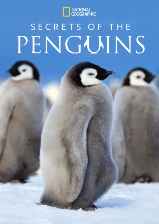 thumbnail - Secrets of the Penguins
