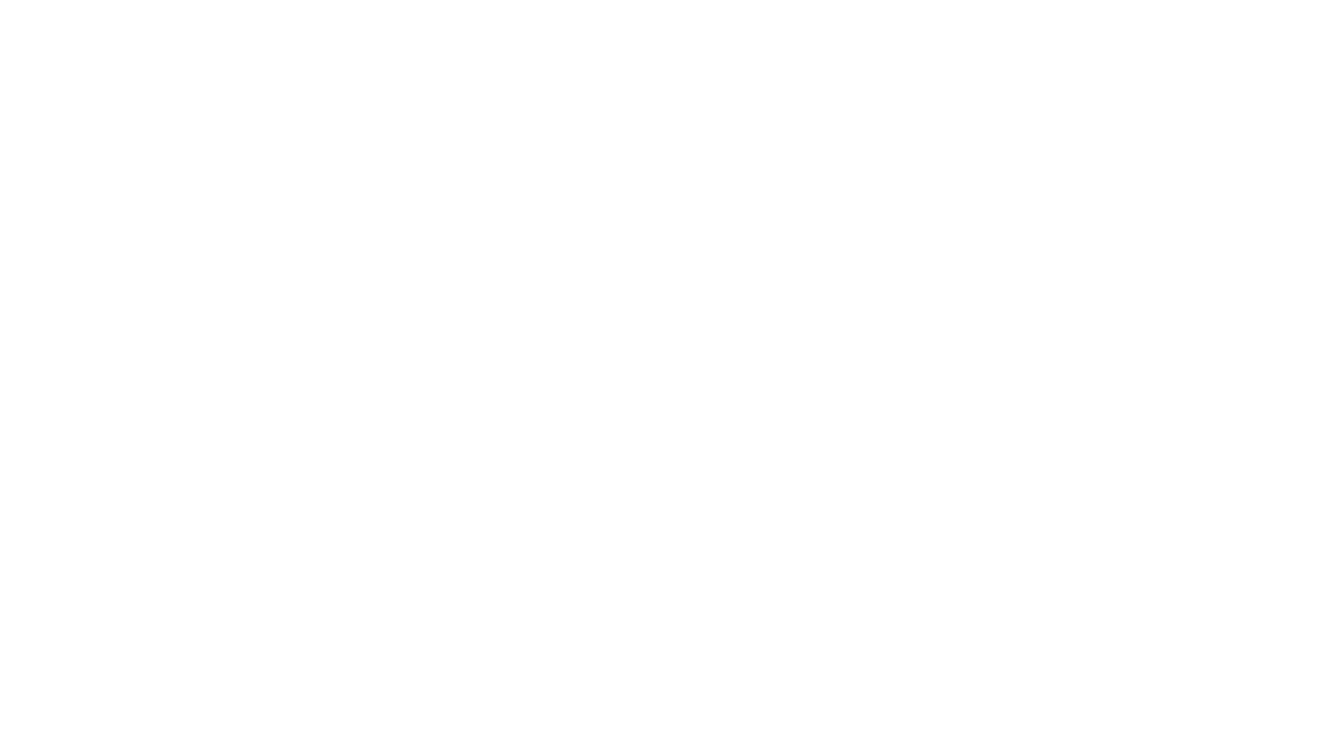 Wendland - Stiller und das große Schweigen