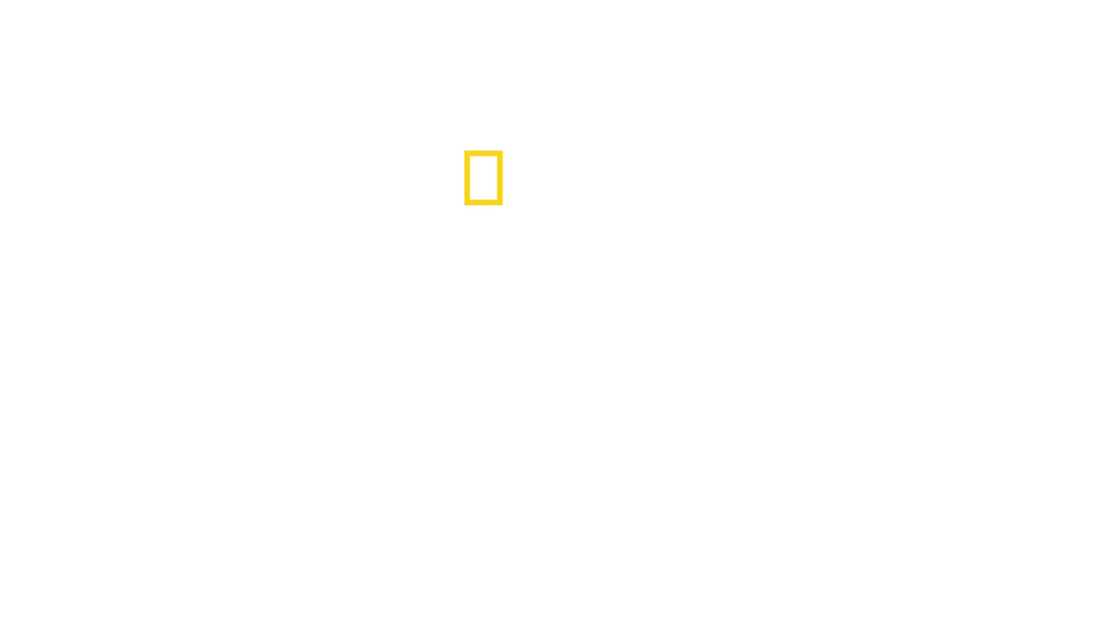 Rekiny południowego Pacyfiku