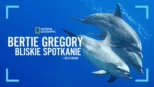 thumbnail - Bertie Gregory: bliskie spotkanie z delfinami