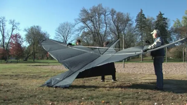 thumbnail - M1:Ep4 Birdzilla