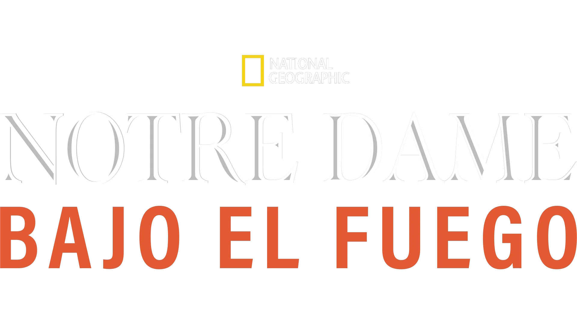 Notre Dame Bajo el Fuego