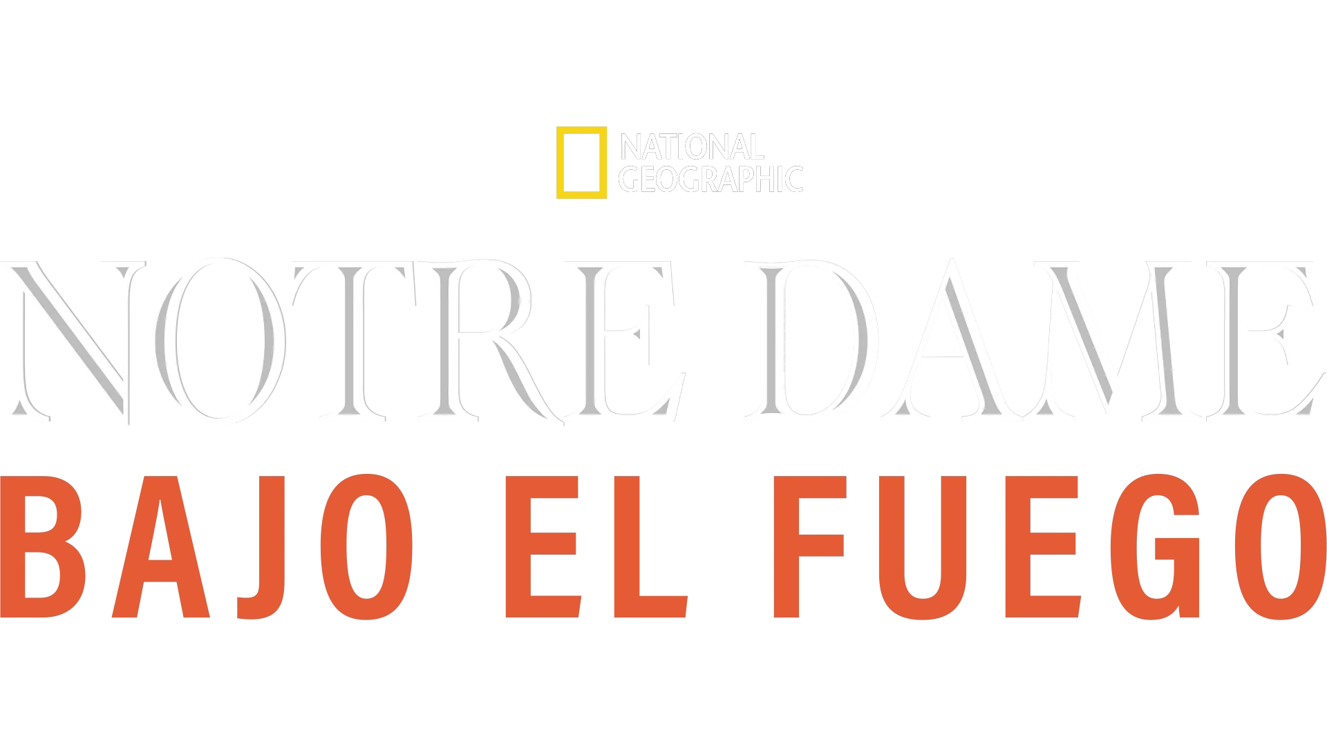 Notre Dame Bajo el Fuego