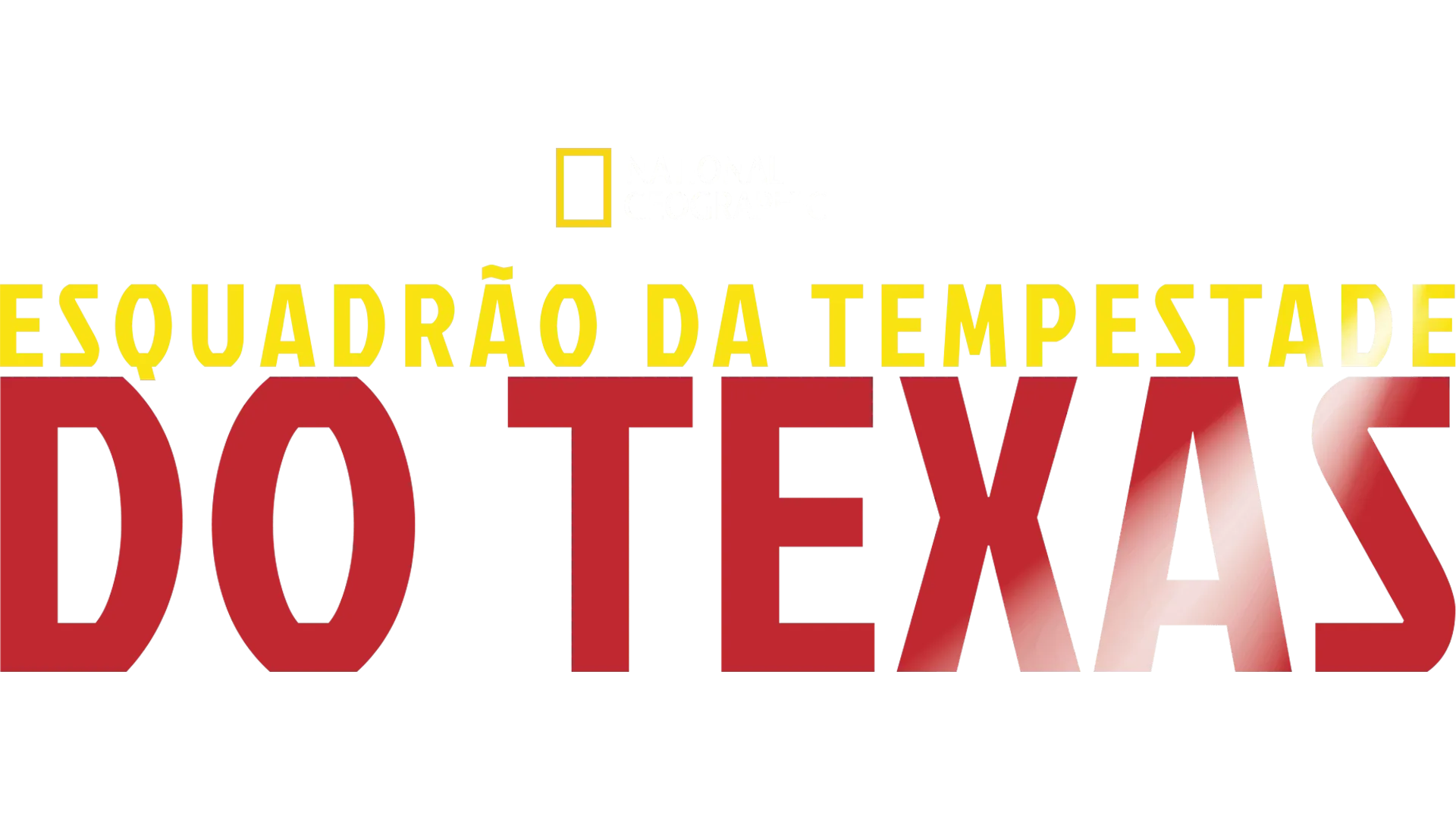 Esquadrão da Tempestade do Texas