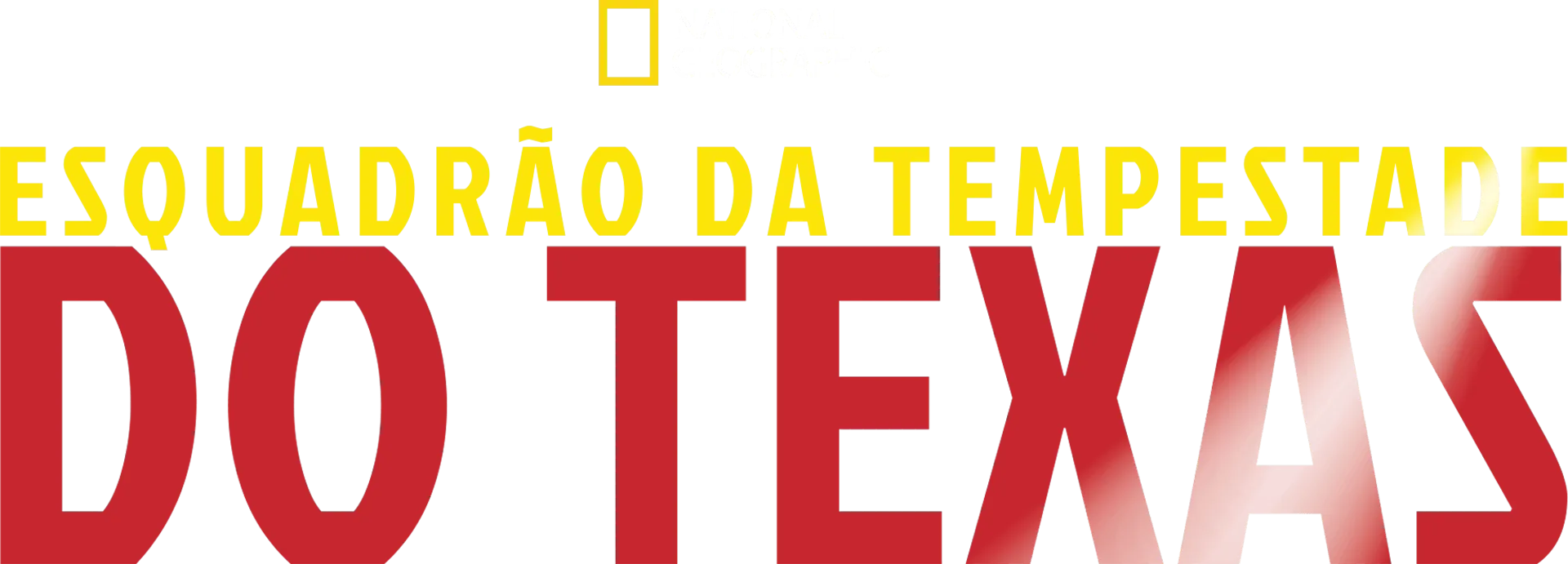 Esquadrão da Tempestade do Texas