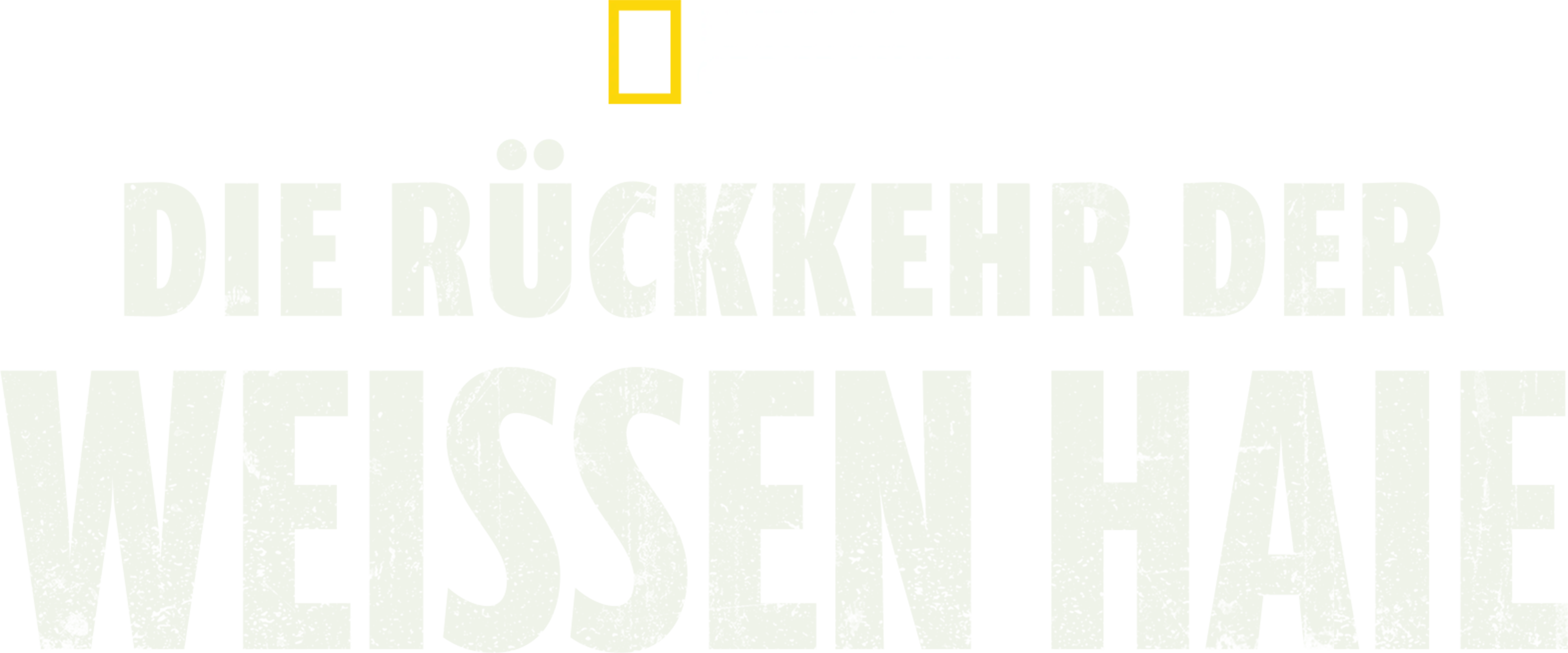 Die Rückkehr der Weißen Haie