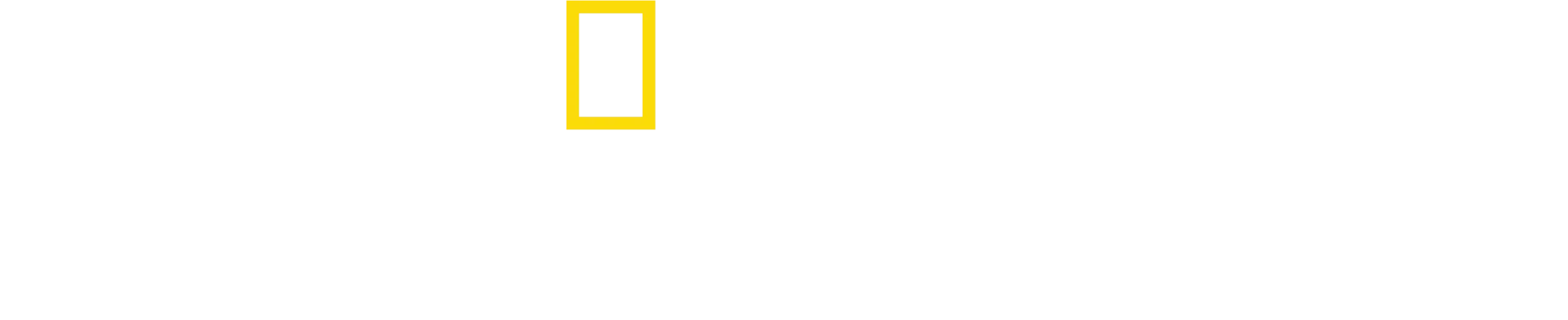 성조기를 만드는 사람들
