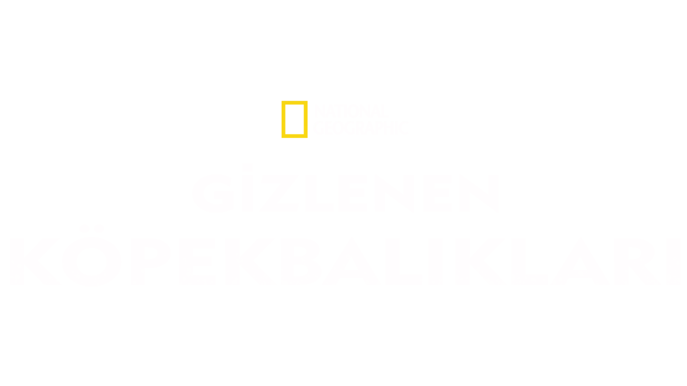 Gizlenen Köpekbalıkları