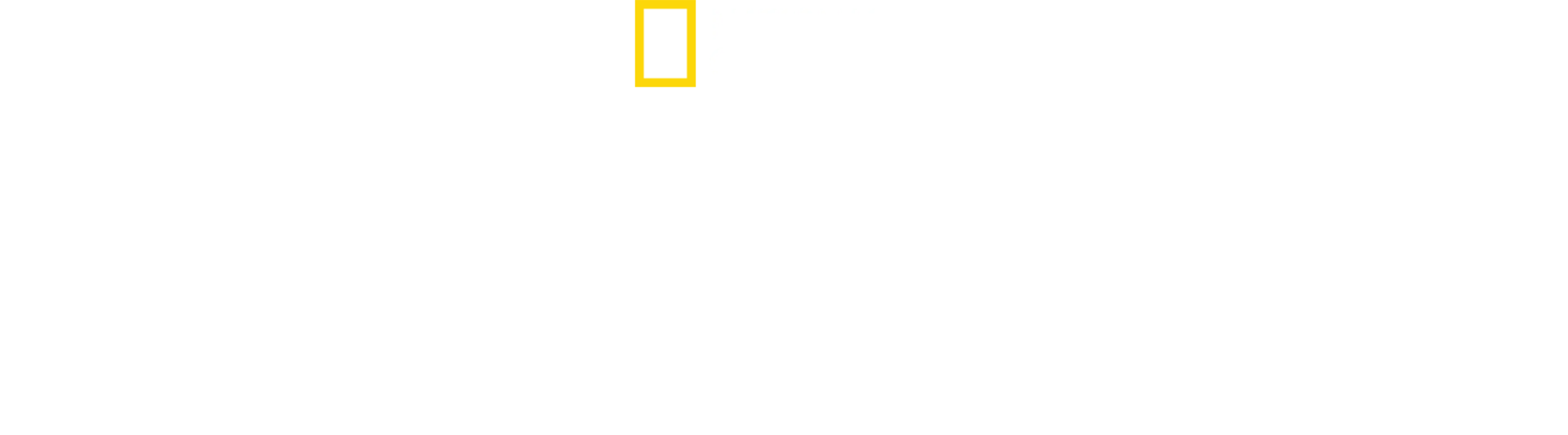 Gizlenen Köpekbalıkları