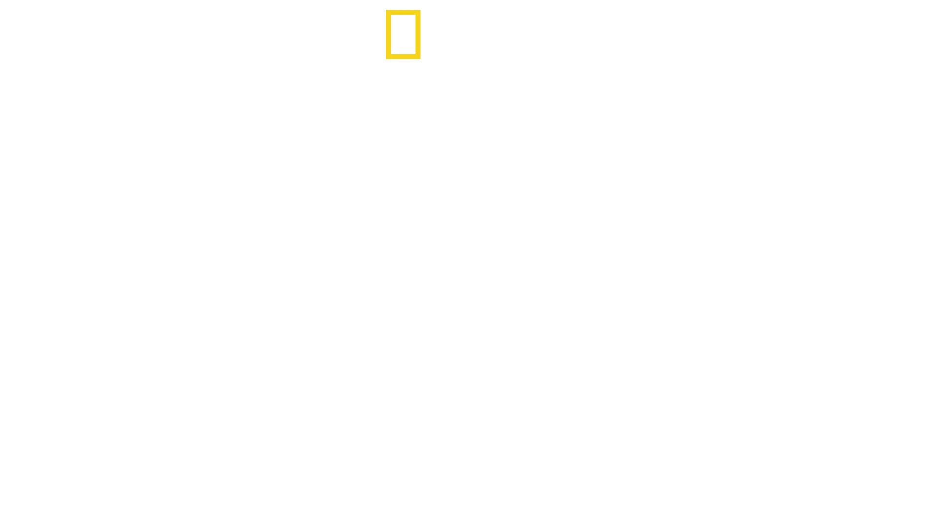 América do Sul: Animais Extraordinários