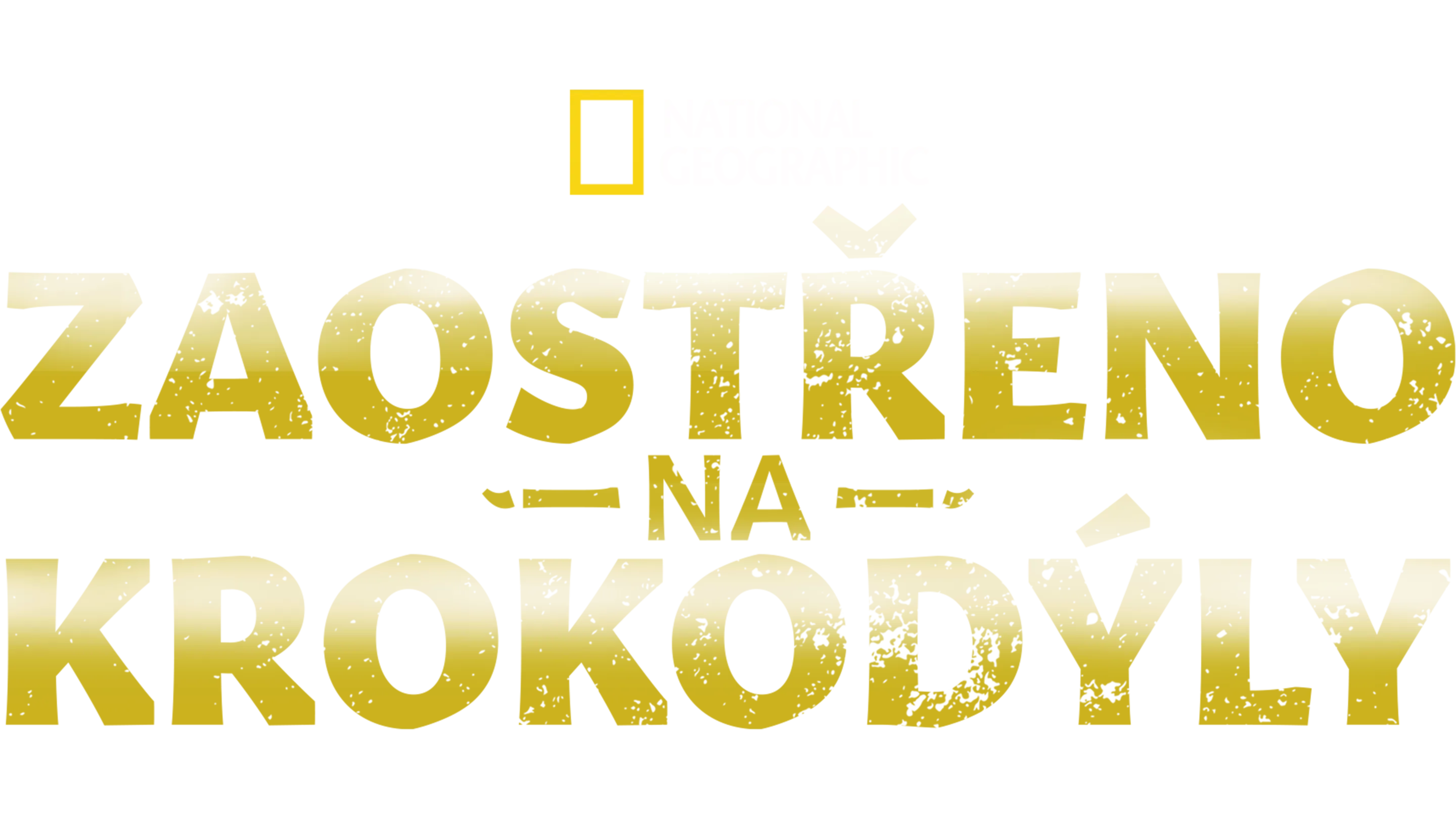 Zaostřeno na krokodýly