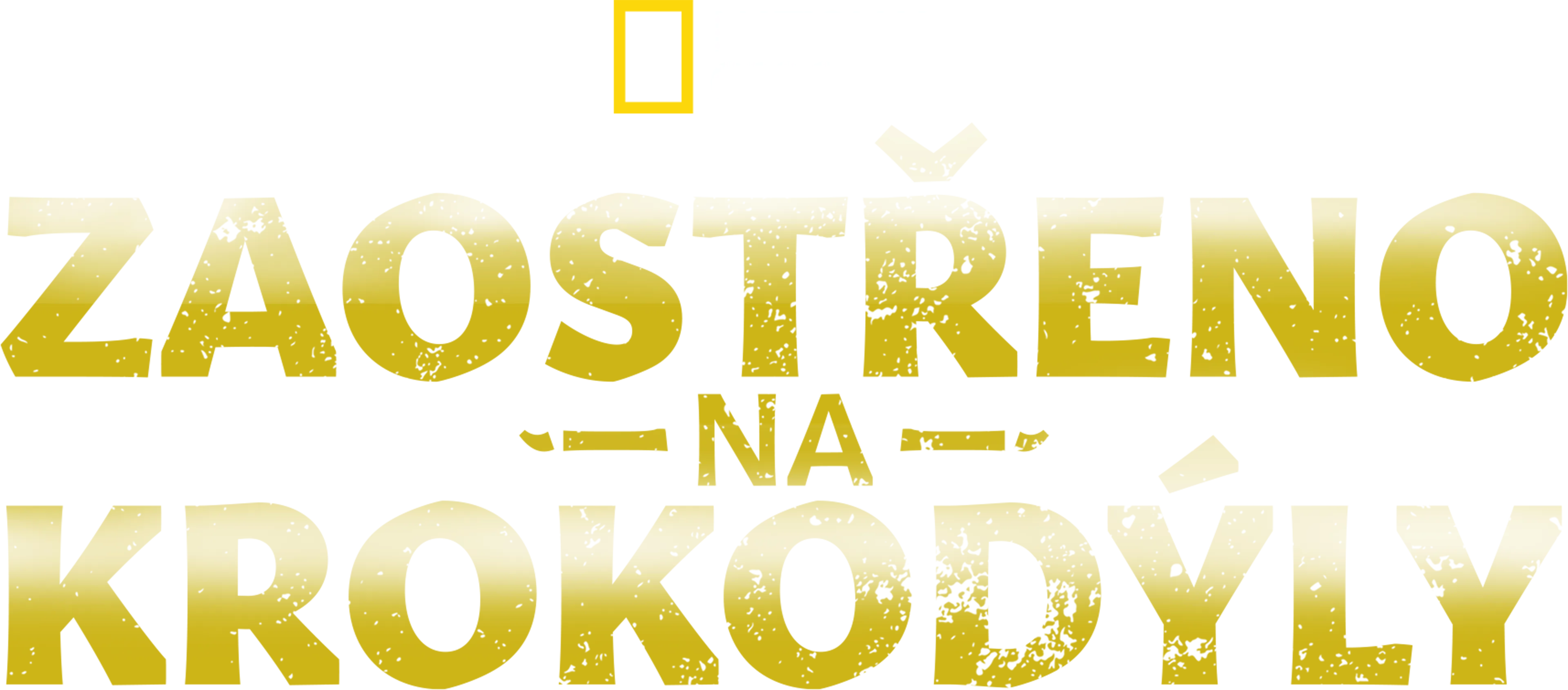 Zaostřeno na krokodýly