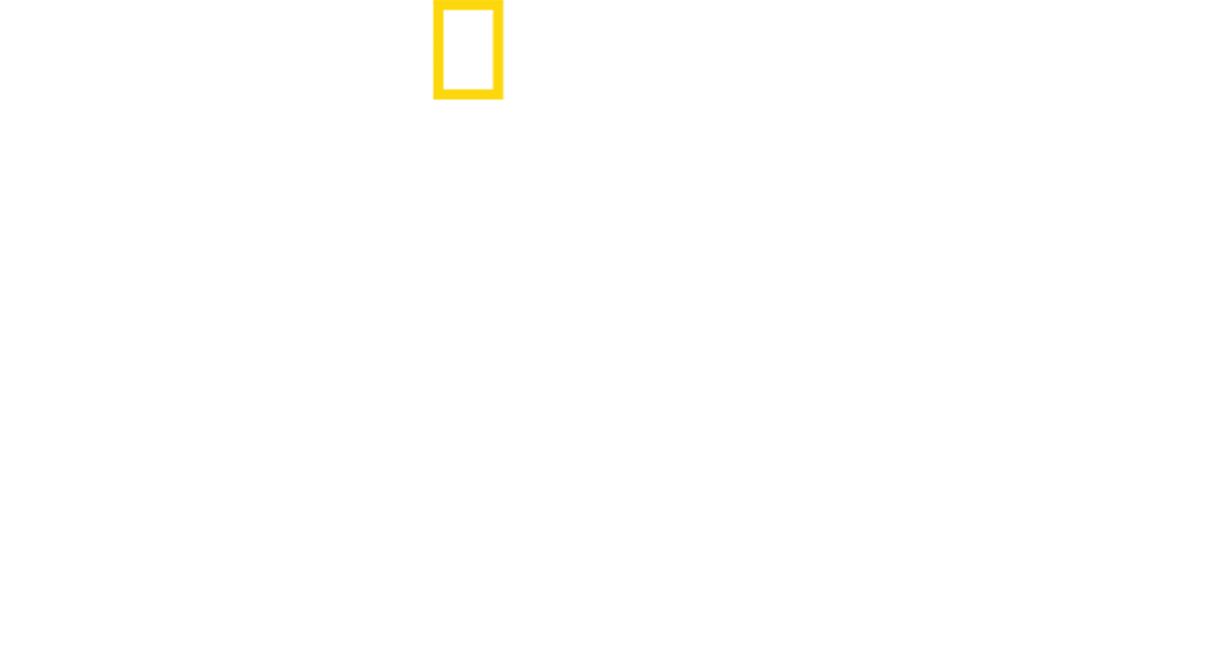 Sekrety zoo