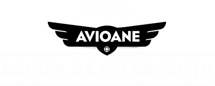 Avioane: Echipa de intervenţii