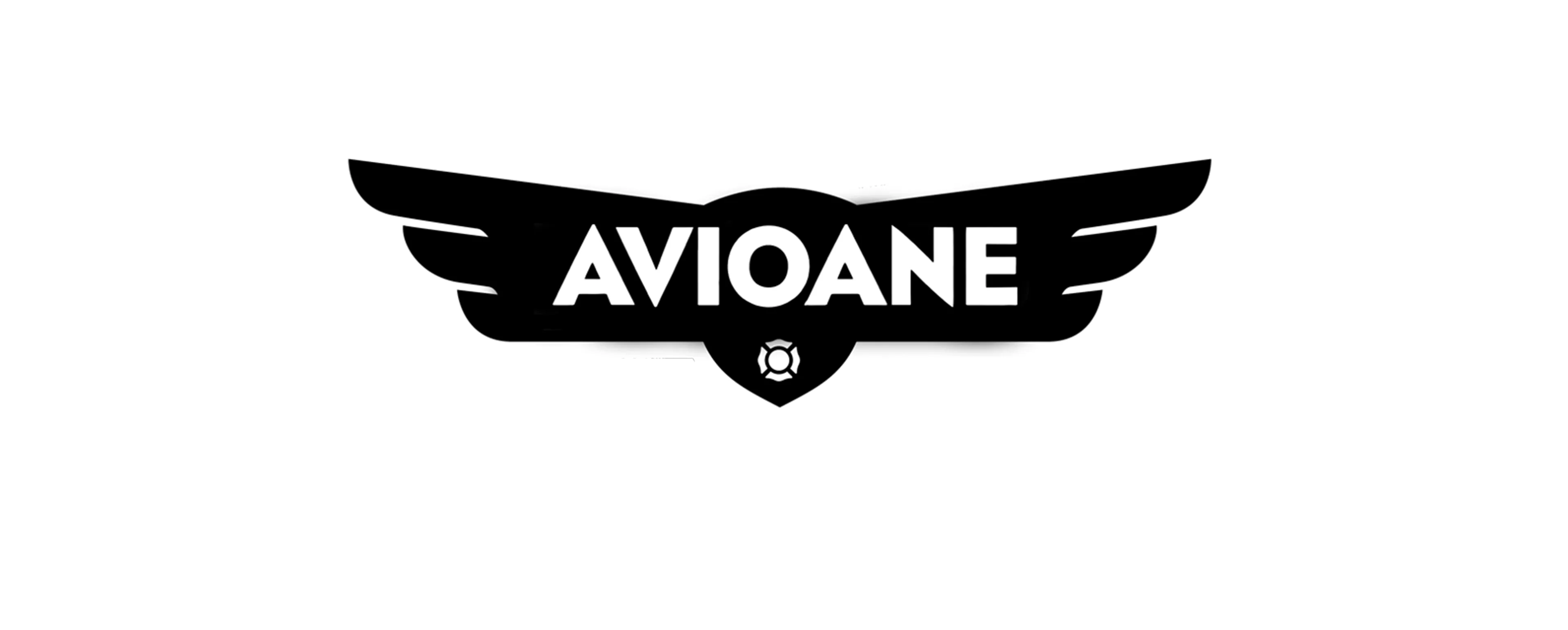 Avioane: Echipa de intervenţii