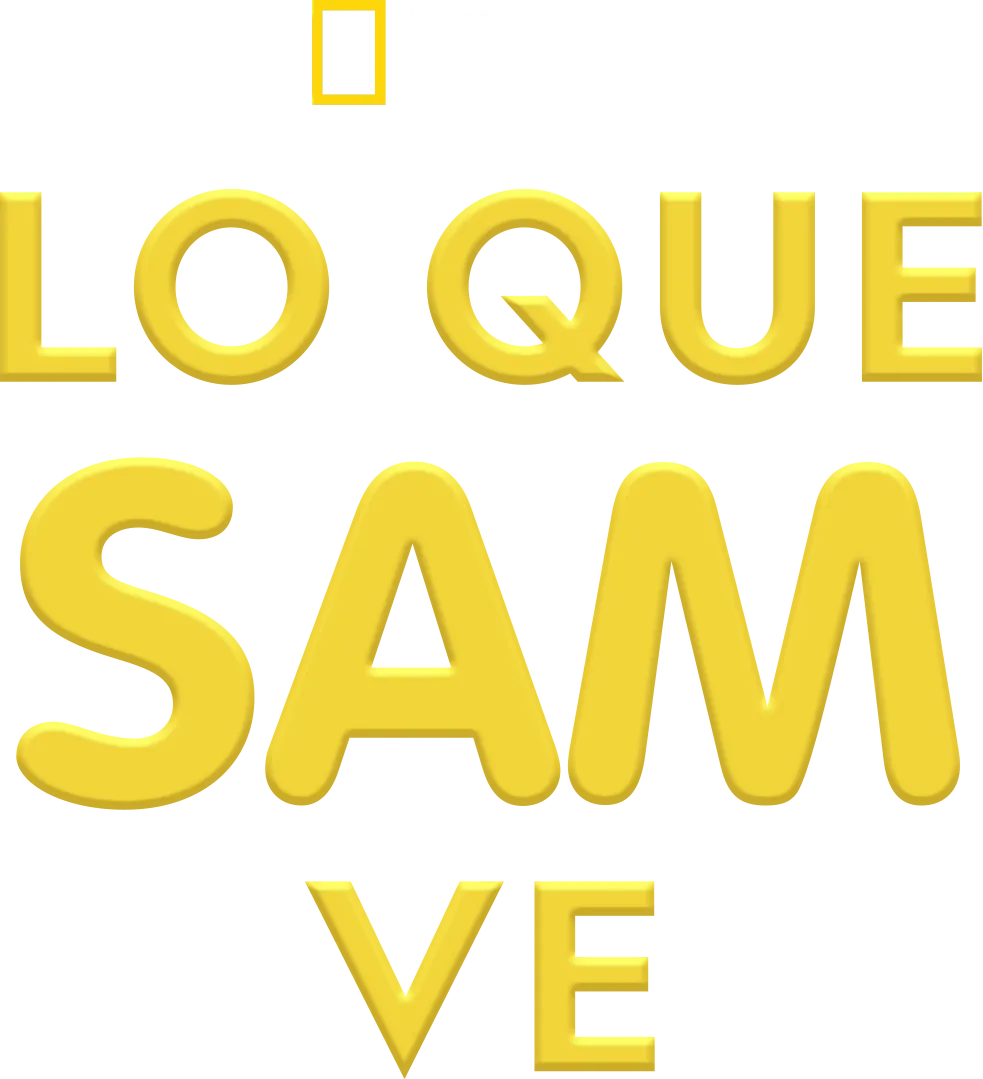 Lo que sam ve